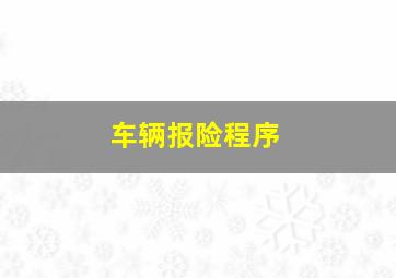 车辆报险程序