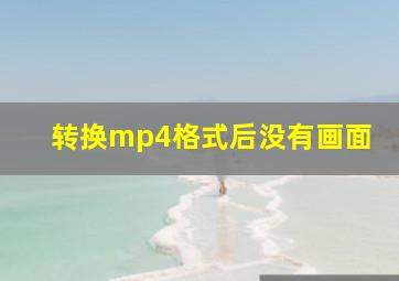 转换mp4格式后没有画面