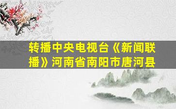 转播中央电视台《新闻联播》河南省南阳市唐河县