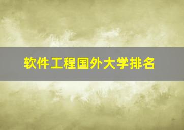 软件工程国外大学排名