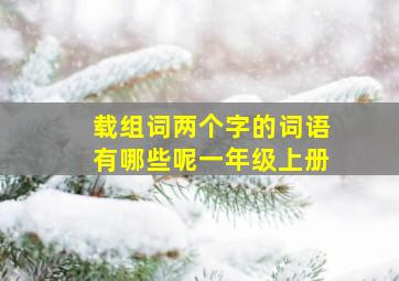 载组词两个字的词语有哪些呢一年级上册