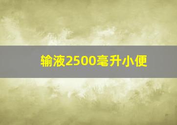 输液2500毫升小便