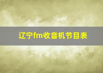 辽宁fm收音机节目表