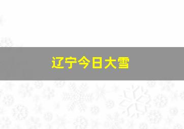 辽宁今日大雪