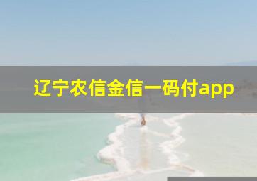 辽宁农信金信一码付app