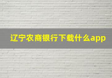 辽宁农商银行下载什么app