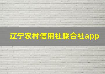 辽宁农村信用社联合社app