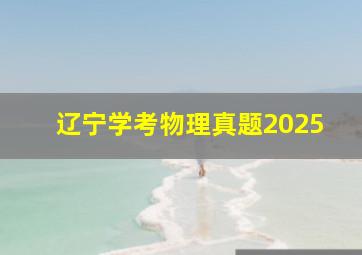 辽宁学考物理真题2025