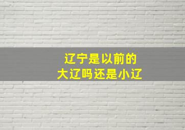 辽宁是以前的大辽吗还是小辽