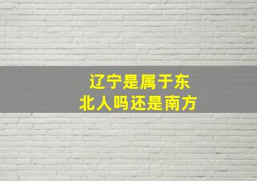 辽宁是属于东北人吗还是南方