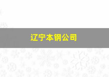 辽宁本钢公司