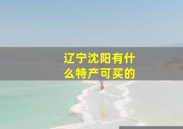 辽宁沈阳有什么特产可买的