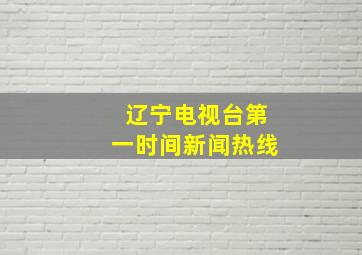 辽宁电视台第一时间新闻热线