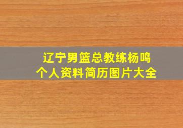 辽宁男篮总教练杨鸣个人资料简历图片大全