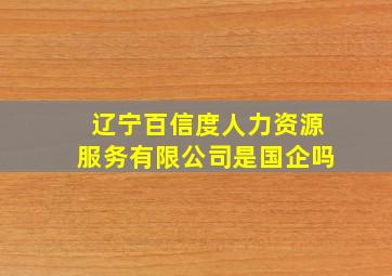 辽宁百信度人力资源服务有限公司是国企吗