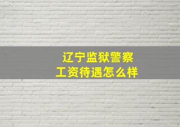 辽宁监狱警察工资待遇怎么样