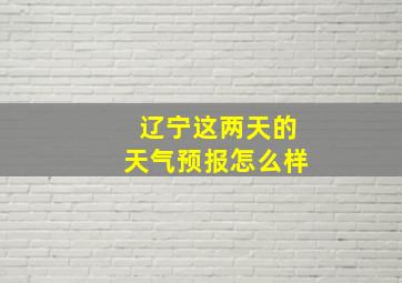 辽宁这两天的天气预报怎么样