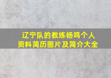 辽宁队的教练杨鸣个人资料简历图片及简介大全