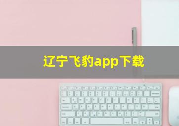 辽宁飞豹app下载