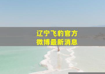 辽宁飞豹官方微博最新消息