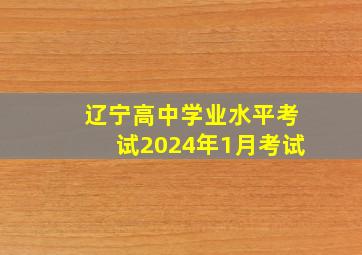 辽宁高中学业水平考试2024年1月考试