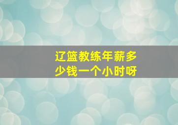 辽篮教练年薪多少钱一个小时呀