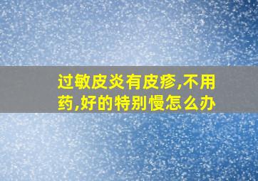 过敏皮炎有皮疹,不用药,好的特别慢怎么办