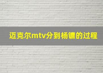 迈克尔mtv分到杨镳的过程