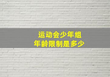 运动会少年组年龄限制是多少