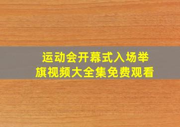 运动会开幕式入场举旗视频大全集免费观看