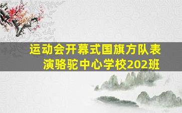 运动会开幕式国旗方队表演骆驼中心学校202班