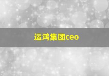 运鸿集团ceo