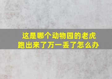 这是哪个动物园的老虎跑出来了万一丢了怎么办