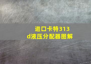 进口卡特313d液压分配器图解