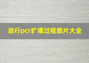 进行pcr扩增过程图片大全