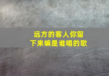 远方的客人你留下来嘛是谁唱的歌