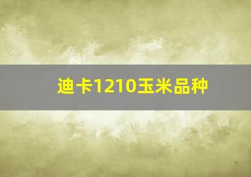 迪卡1210玉米品种