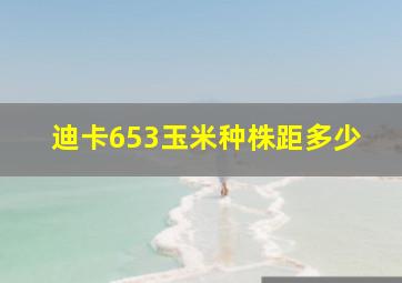 迪卡653玉米种株距多少