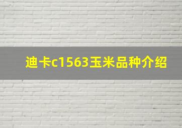 迪卡c1563玉米品种介绍