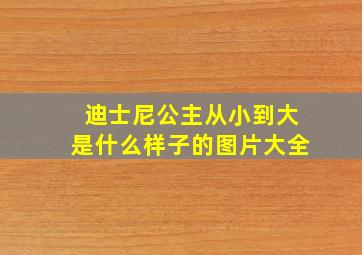 迪士尼公主从小到大是什么样子的图片大全