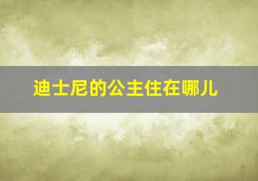 迪士尼的公主住在哪儿