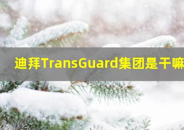 迪拜TransGuard集团是干嘛的