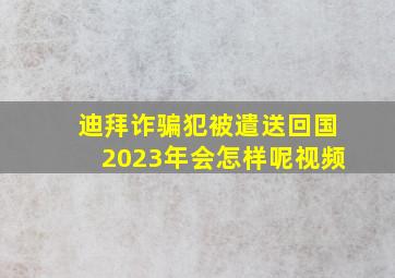 迪拜诈骗犯被遣送回国2023年会怎样呢视频