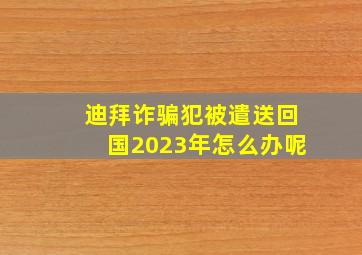 迪拜诈骗犯被遣送回国2023年怎么办呢