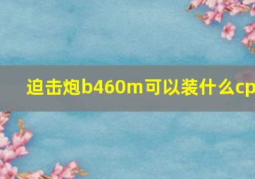 迫击炮b460m可以装什么cpu