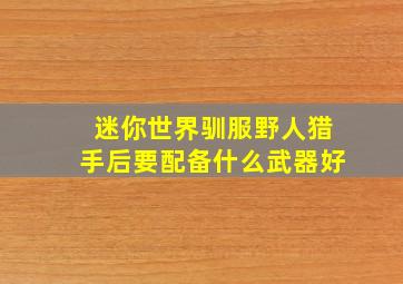 迷你世界驯服野人猎手后要配备什么武器好