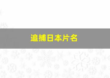 追捕日本片名