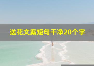 送花文案短句干净20个字