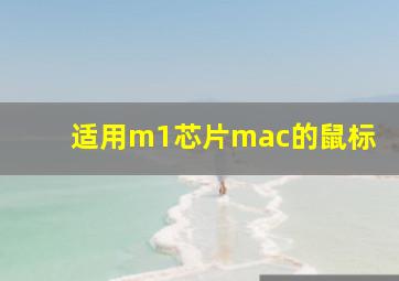 适用m1芯片mac的鼠标