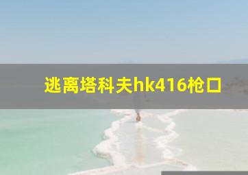 逃离塔科夫hk416枪口